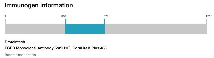 EGFR Monoclonal Antibody (2A2H10), CoraLite&reg; Plus 488