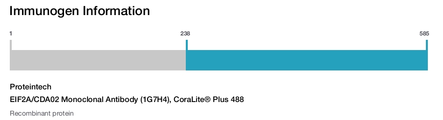 EIF2A/CDA02 Monoclonal Antibody (1G7H4), CoraLite&reg; Plus 488