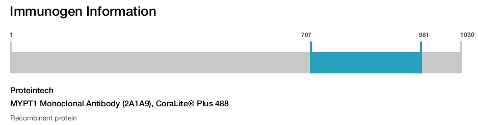 MYPT1 Monoclonal Antibody (2A1A9), CoraLite&reg; Plus 488