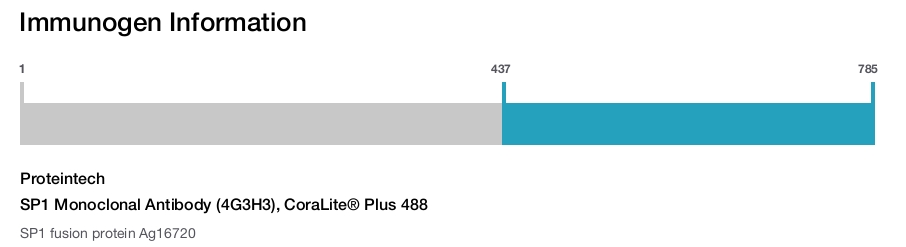 SP1 Monoclonal Antibody (4G3H3), CoraLite&reg; Plus 488