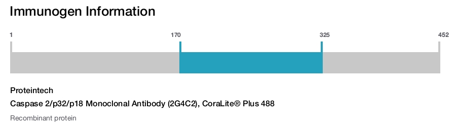 Caspase 2/p32/p18 Monoclonal Antibody (2G4C2), CoraLite&reg; Plus 488