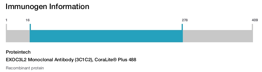 EXOC3L2 Monoclonal Antibody (3C1C2), CoraLite&reg; Plus 488