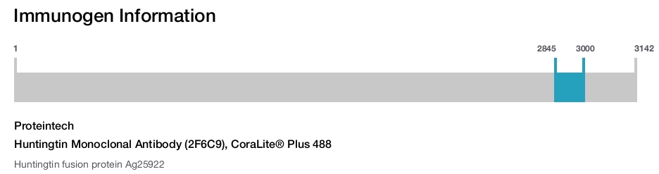 Huntingtin Monoclonal Antibody (2F6C9), CoraLite&reg; Plus 488