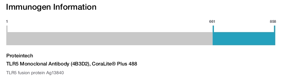TLR5 Monoclonal Antibody (4B3D2), CoraLite&reg; Plus 488