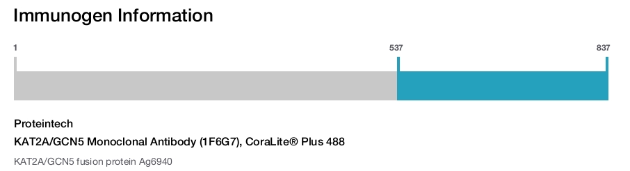 KAT2A/GCN5 Monoclonal Antibody (1F6G7), CoraLite&reg; Plus 488