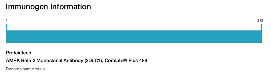 AMPK Beta 2 Monoclonal Antibody (2D5C1), CoraLite&reg; Plus 488