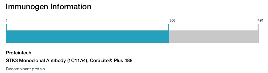 STK3 Monoclonal Antibody (1C11A4), CoraLite&reg; Plus 488