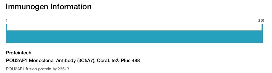 POU2AF1 Monoclonal Antibody (3C5A7), CoraLite&reg; Plus 488