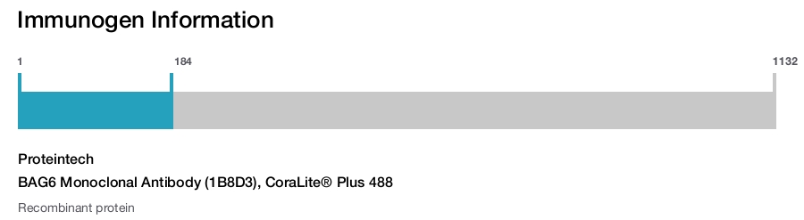 BAG6 Monoclonal Antibody (1B8D3), CoraLite&reg; Plus 488