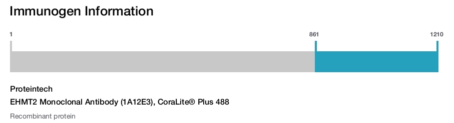 EHMT2 Monoclonal Antibody (1A12E3), CoraLite&reg; Plus 488