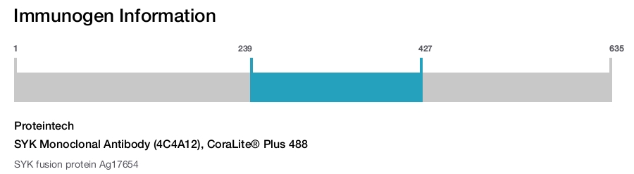 SYK Monoclonal Antibody (4C4A12), CoraLite&reg; Plus 488