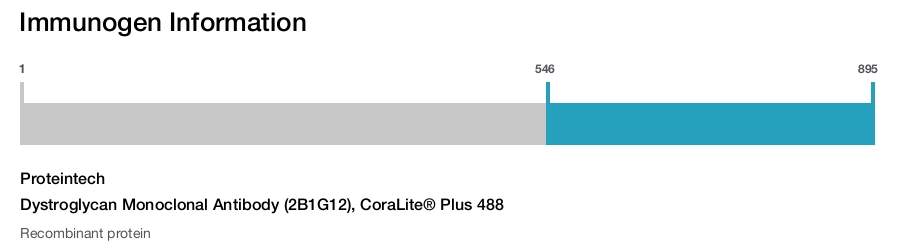 Dystroglycan Monoclonal Antibody (2B1G12), CoraLite&reg; Plus 488