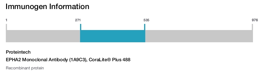 EPHA2 Monoclonal Antibody (1A9C3), CoraLite&reg; Plus 488