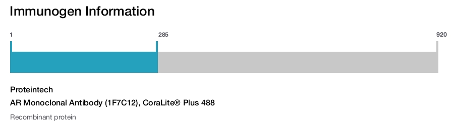 AR Monoclonal Antibody (1F7C12), CoraLite&reg; Plus 488