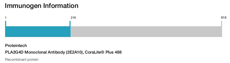 PLA2G4D Monoclonal Antibody (2E2A10), CoraLite&reg; Plus 488