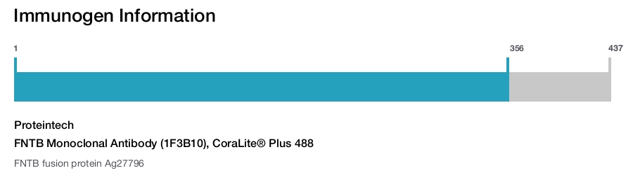 FNTB Monoclonal Antibody (1F3B10), CoraLite&reg; Plus 488