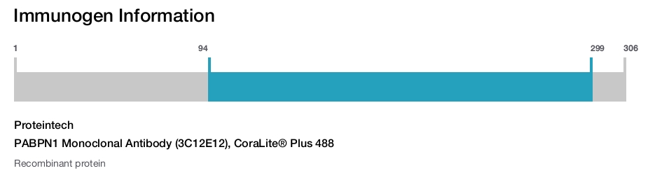 PABPN1 Monoclonal Antibody (3C12E12), CoraLite&reg; Plus 488