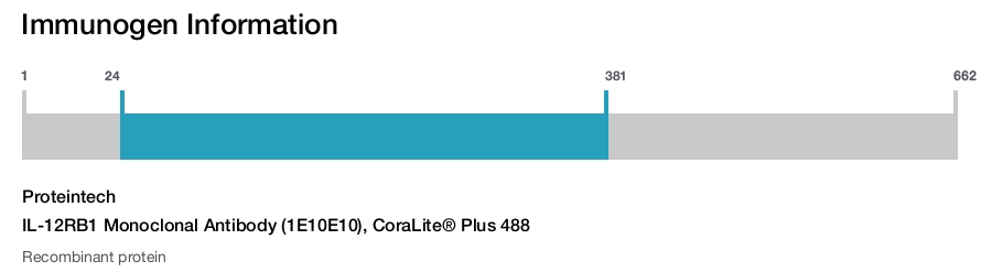 IL-12RB1 Monoclonal Antibody (1E10E10), CoraLite&reg; Plus 488