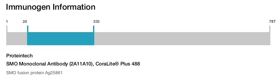 SMO Monoclonal Antibody (2A11A10), CoraLite&reg; Plus 488