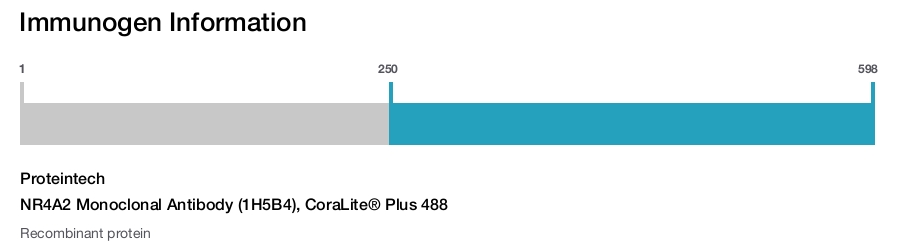 NR4A2 Monoclonal Antibody (1H5B4), CoraLite&reg; Plus 488