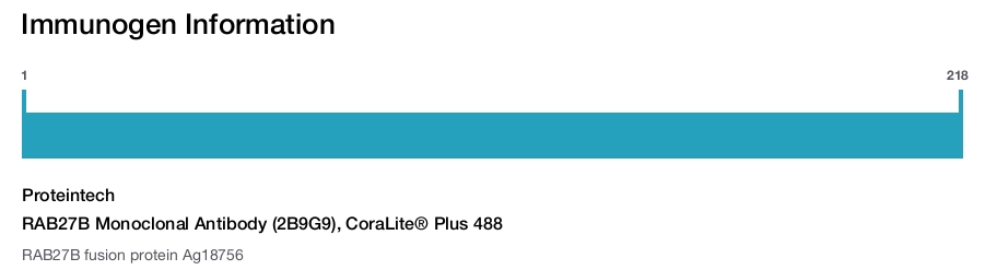 RAB27B Monoclonal Antibody (2B9G9), CoraLite&reg; Plus 488