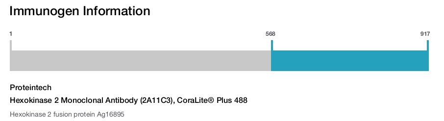 Hexokinase 2 Monoclonal Antibody (2A11C3), CoraLite&reg; Plus 488
