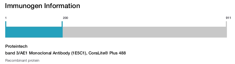 band 3/AE1 Monoclonal Antibody (1E5C1), CoraLite&reg; Plus 488