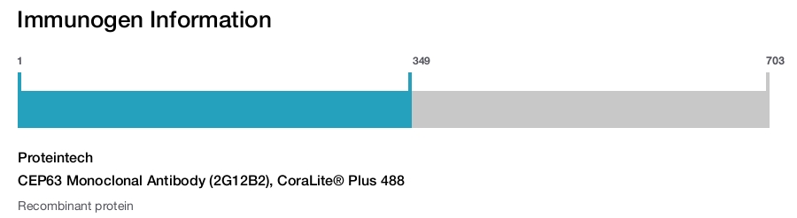 CEP63 Monoclonal Antibody (2G12B2), CoraLite&reg; Plus 488