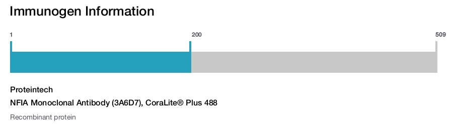 NFIA Monoclonal Antibody (3A6D7), CoraLite&reg; Plus 488