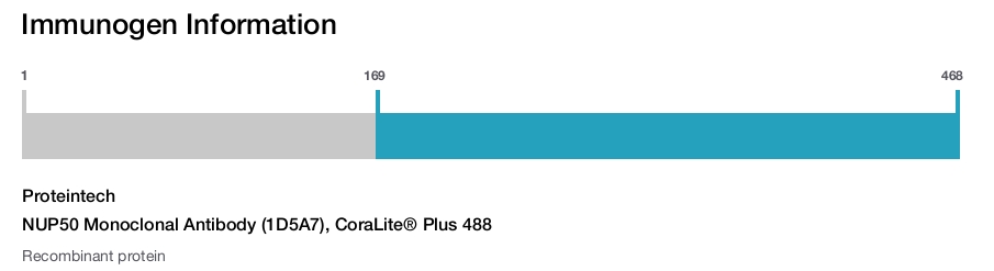 NUP50 Monoclonal Antibody (1D5A7), CoraLite&reg; Plus 488
