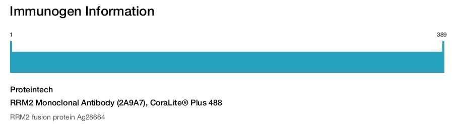 RRM2 Monoclonal Antibody (2A9A7), CoraLite&reg; Plus 488