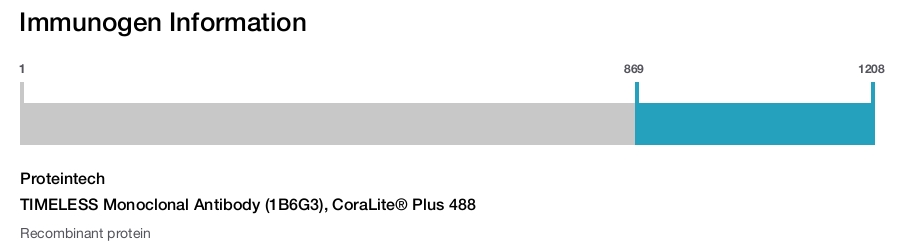 TIMELESS Monoclonal Antibody (1B6G3), CoraLite&reg; Plus 488