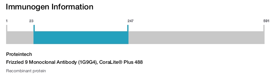 Frizzled 9 Monoclonal Antibody (1G9G4), CoraLite&reg; Plus 488