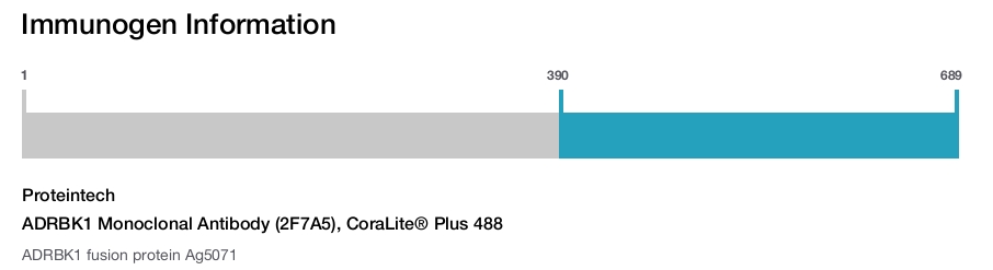 ADRBK1 Monoclonal Antibody (2F7A5), CoraLite&reg; Plus 488