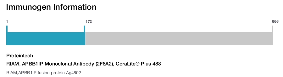 RIAM, APBB1IP Monoclonal Antibody (2F8A2), CoraLite&reg; Plus 488