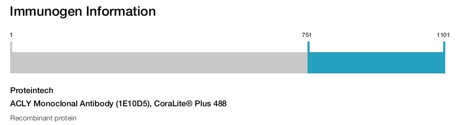 ACLY Monoclonal Antibody (1E10D5), CoraLite&reg; Plus 488