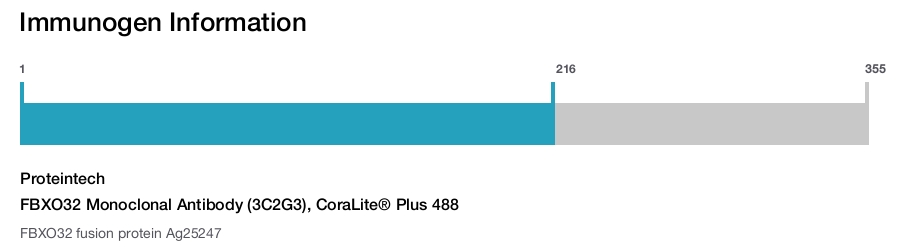 FBXO32 Monoclonal Antibody (3C2G3), CoraLite&reg; Plus 488