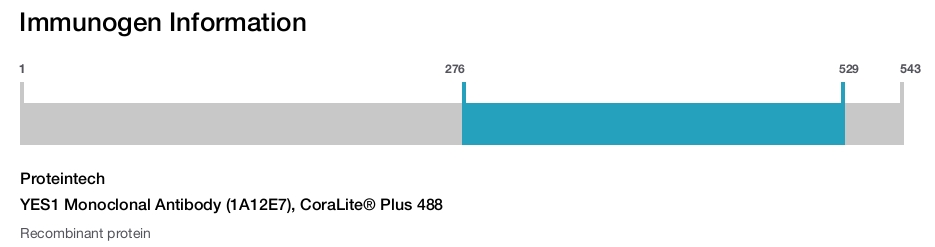 YES1 Monoclonal Antibody (1A12E7), CoraLite&reg; Plus 488