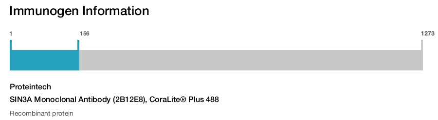 SIN3A Monoclonal Antibody (2B12E8), CoraLite&reg; Plus 488