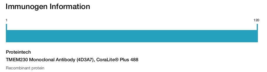 TMEM230 Monoclonal Antibody (4D3A7), CoraLite&reg; Plus 488