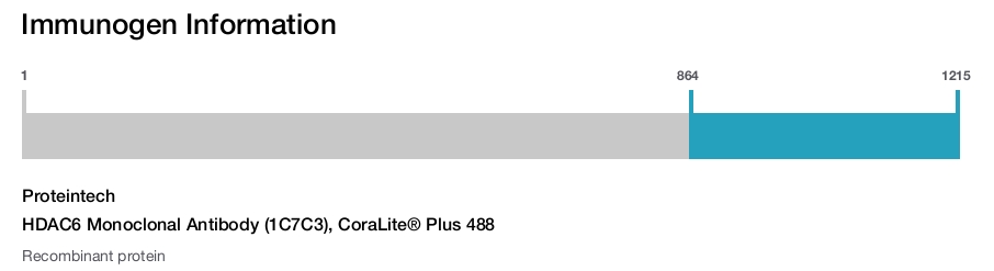 HDAC6 Monoclonal Antibody (1C7C3), CoraLite&reg; Plus 488