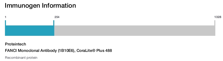 FANCI Monoclonal Antibody (1B10E6), CoraLite&reg; Plus 488