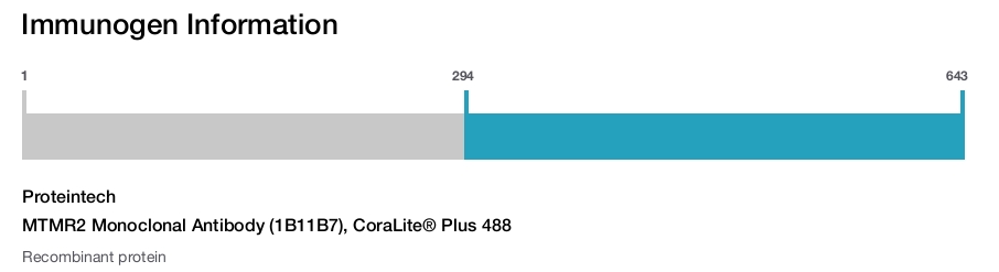 MTMR2 Monoclonal Antibody (1B11B7), CoraLite&reg; Plus 488