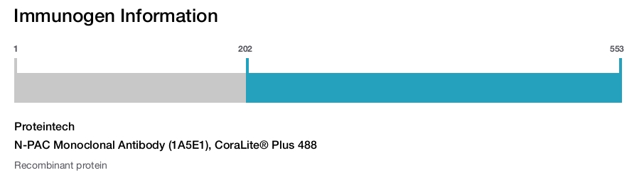 N-PAC Monoclonal Antibody (1A5E1), CoraLite&reg; Plus 488
