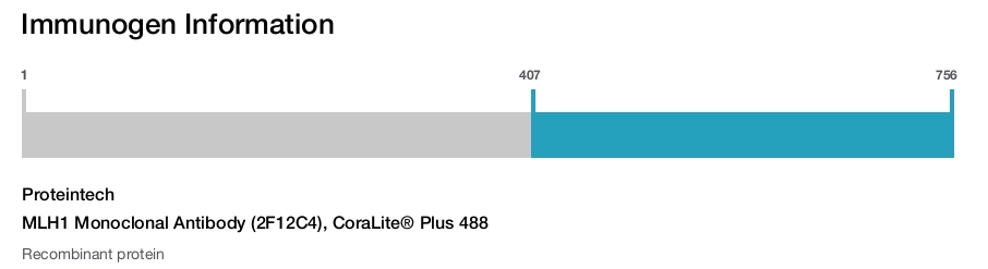 MLH1 Monoclonal Antibody (2F12C4), CoraLite&reg; Plus 488