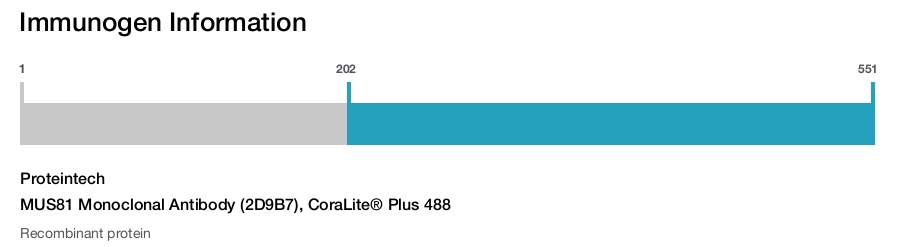 MUS81 Monoclonal Antibody (2D9B7), CoraLite&reg; Plus 488