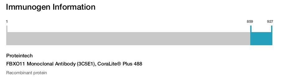 FBXO11 Monoclonal Antibody (3C5E1), CoraLite&reg; Plus 488