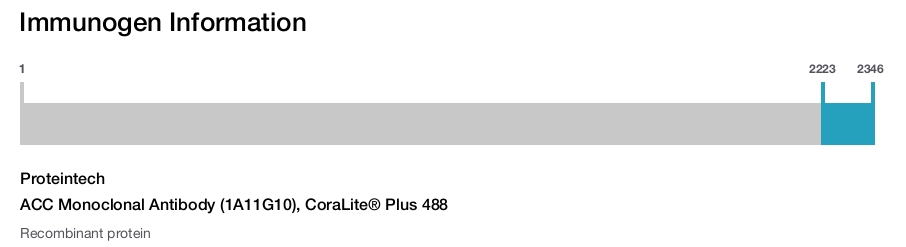 ACC Monoclonal Antibody (1A11G10), CoraLite&reg; Plus 488