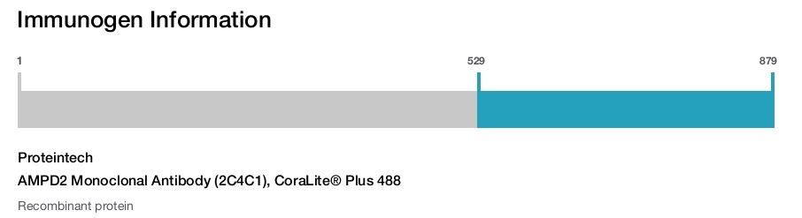 AMPD2 Monoclonal Antibody (2C4C1), CoraLite&reg; Plus 488