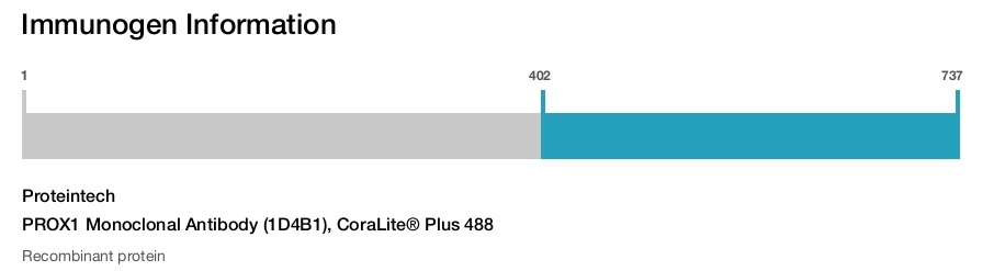 PROX1 Monoclonal Antibody (1D4B1), CoraLite&reg; Plus 488